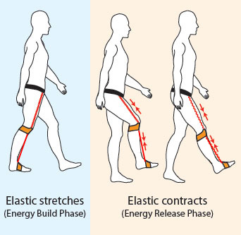 how-tripleflex-works2